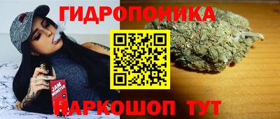 не бодяженный Гатчина