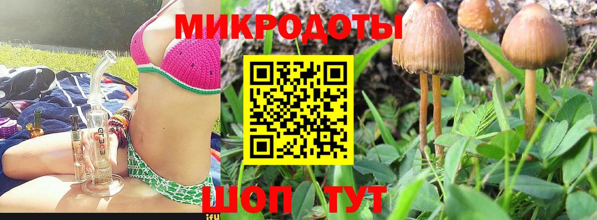 Камень-на-Оби  Псилоцибиновые грибы ЛСД  Галлюциногенные грибы мицелий  Вход с VPN 